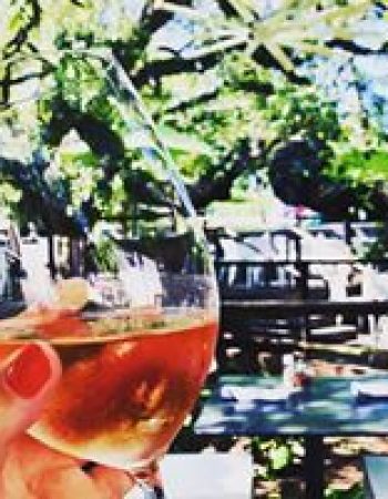 The Grove Wine Bar & Kitchen