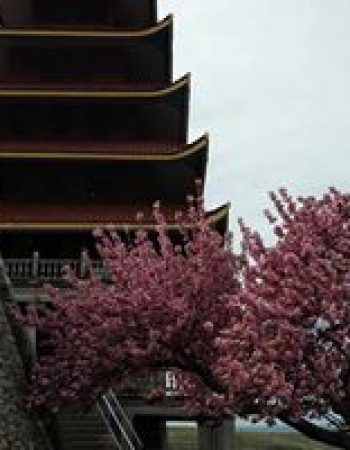 Pagoda