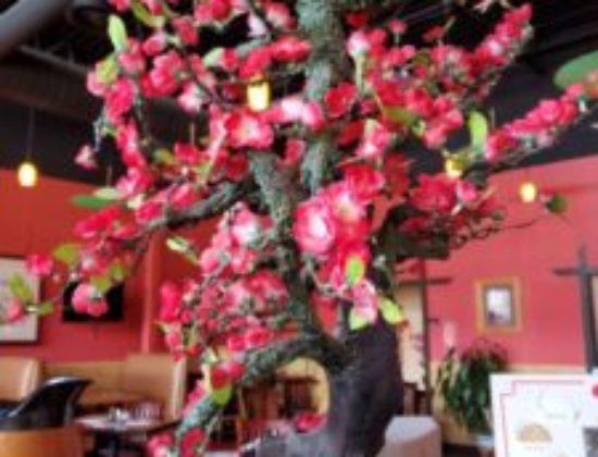 Amy’s China Cuisine