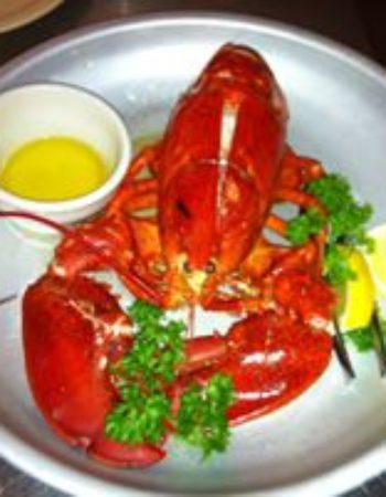 C.R Surf & Turf
