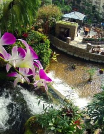 Gaylord Opryland Resort & Convention Center