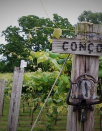 DelMonaco Winery & Vineyard