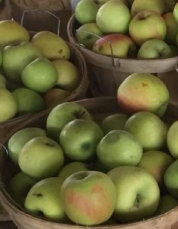 Nashville’s Farmers Market