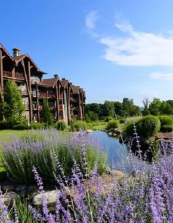 Crystal Springs Resort