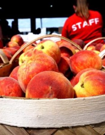 Nashville’s Farmers Market
