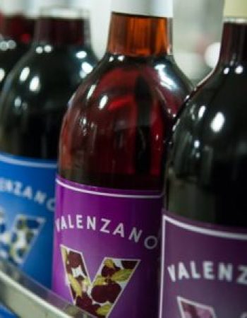 Valenzano Winery
