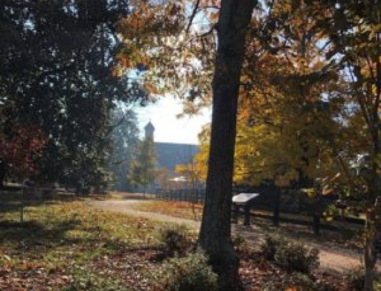 Belle Meade Plantation