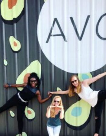 AVO