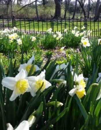 Cedars & Beeches Bed & Breakfast