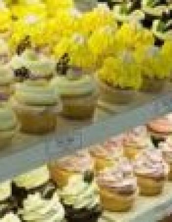 The Cupcake Collection
