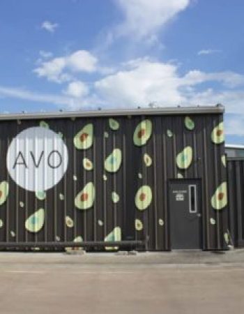 AVO