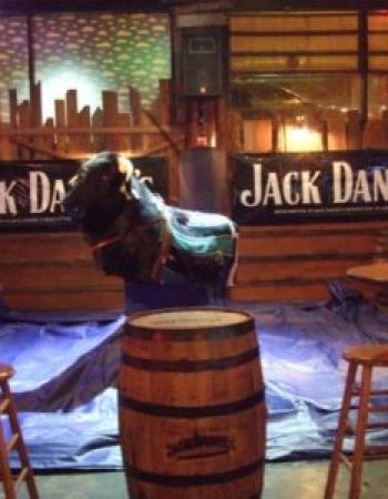 Wild Beaver Saloon