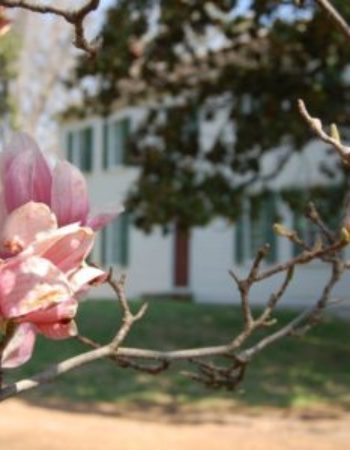 Travellers Rest Plantation & Museum