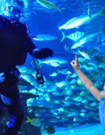 Aquarium Restaurant