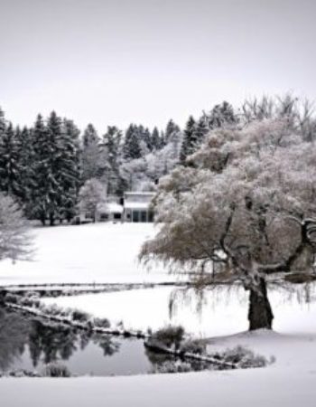 The Otesaga Resort Hotel