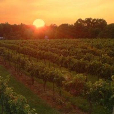 Laurita Winery