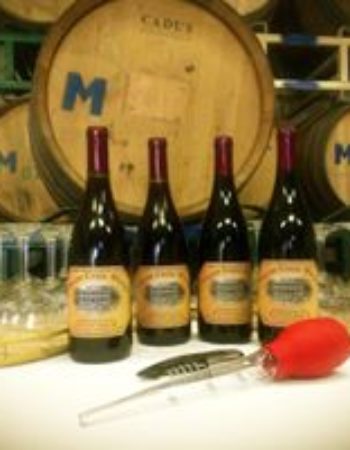 Willow Creek Winery