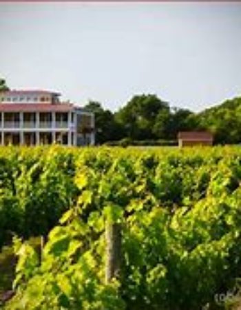 Willow Creek Winery
